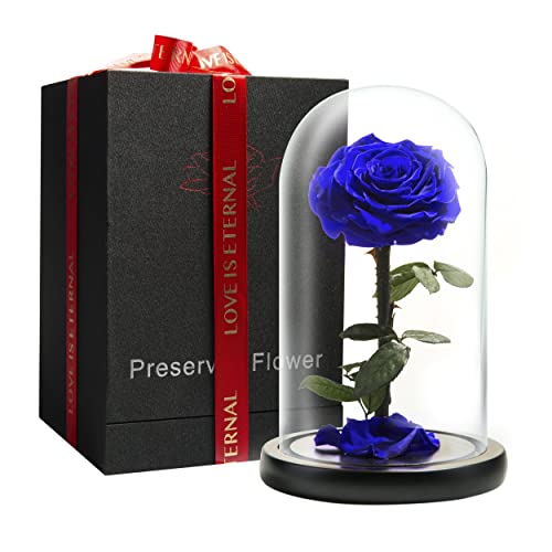 LOVAPPY Forever Preserved Rose - Eeuwige roos in glazen koepel - Beauty and The Beast Rose voor mama - verse bloemen in glas (blauw, 22,5 cm)