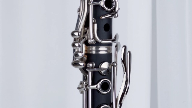 Amazon.com: SLADE Bb Clarinet Student Beginner Clarinet with Case