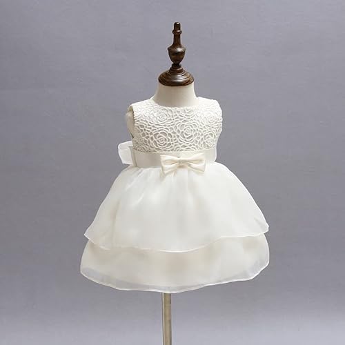 Babycheer Christening Dress Baby Girls Ruffle Lace Skirt Baptism Dedication Blessing Gown Flower Girl Sleeveless Dresses (15-20 Months) #TOP5