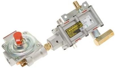 GE Series WB19K10079 Valve Control ASM NO