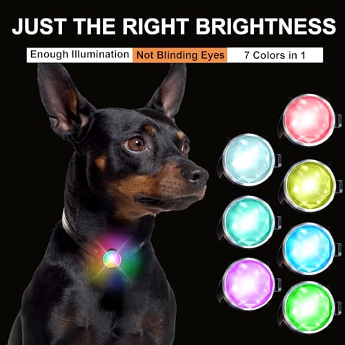 Tubasion 7 Colours in 1 Leuchtanhänger Hund, USB-C Wiederaufladba Blinklicht Hundegeschirr, Licht für Hundehalsband Silikon, IP65 wasserdichte Led Hundehalsband für Nachtspaziergänge