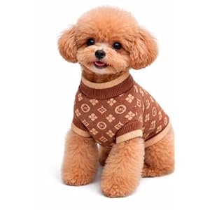 Everything Chic Luxury Dog Sweater ...