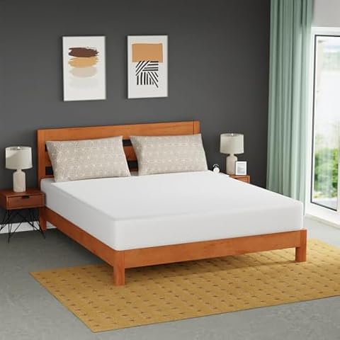 FDW 10-Inch Gel Memory Foam Mattress Cover
