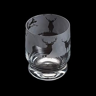Dartington Crystal Aspect Tumbler Cycling, 1 Count (Pack of 1)