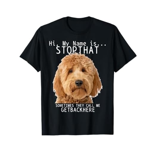 Goldendoodle Hi My Name Is Stop That Funny Dog Doodle Mom T-Shirt