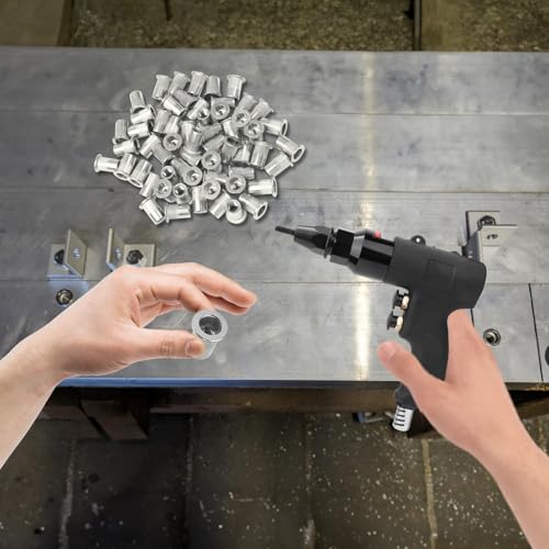 TXXATX 60 Stück Nietmuttern M8 Edelstahl Blindnietmuttern Einziehmuttern Flachkopf Nietmutter Einpressmuttern Gewindenieten Befestigung für Handwerk Dekorationen Kunststoffplatten Metallplatten Rohre
