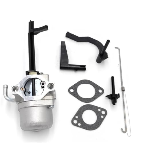Carburador soplador nieve B & S 591378 idóneo para despejar caminos en invierno helado