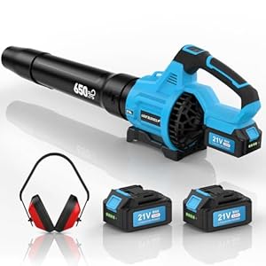 Leaf Blower Cordless,650 CFM &...