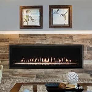 Empire Boulevard Direct Vent Linear Fireplace 48" Propane Gas with Matte Black Liner