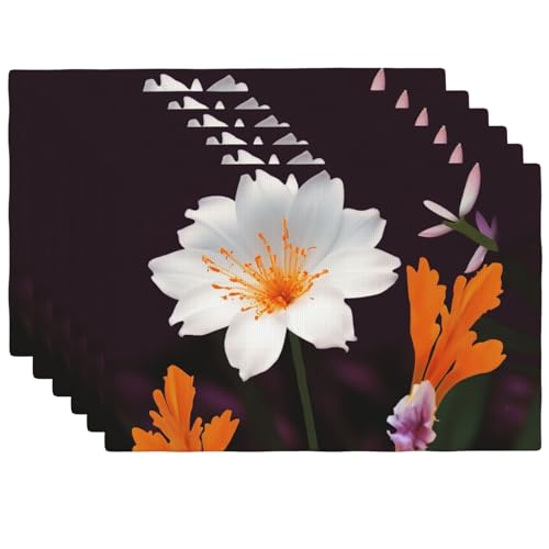 Set de table en lin lavable pour protéger votre table des taches et chaleur