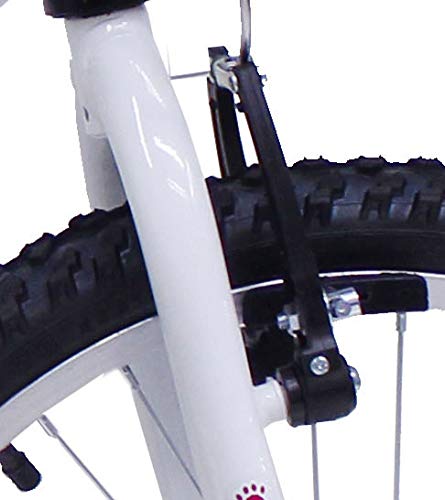 Bicicleta Aro 20 Infantil Feminina Passeio+Rodinhas De Brinde (Branco)