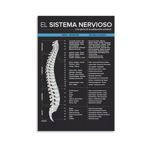Image of PAJPXPCD Spine and Nerve Anatomy Chart Vertebral Subluxation Guide Educational Canvas Print for Chiropractic Office Physical Clinic(Unframed,08x12inch(20x30cm))