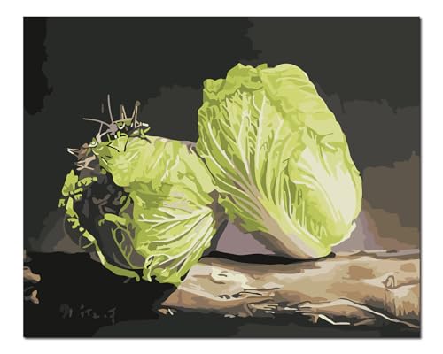 Peinture par numéros pour adultes débutants toile sauterelles 16x20