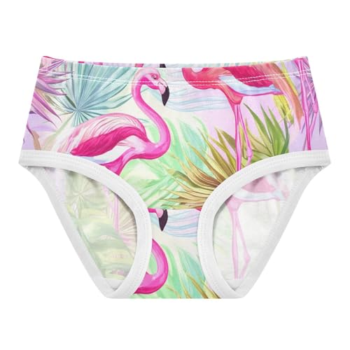 Toddler Underwear Custom 2t Cotton Panties for Girl Florals Briefs Girls Undies Pink Flamingos Tropical Plants