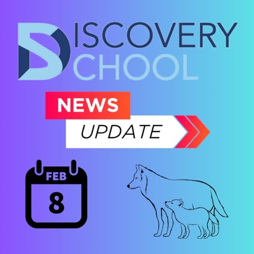 February 8 - 14, 2026