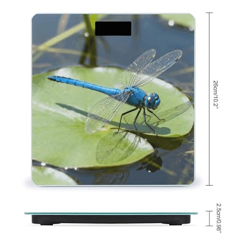 Báscula digital Dragonfly con pantalla LCD grande y alta precisión miniatura 2