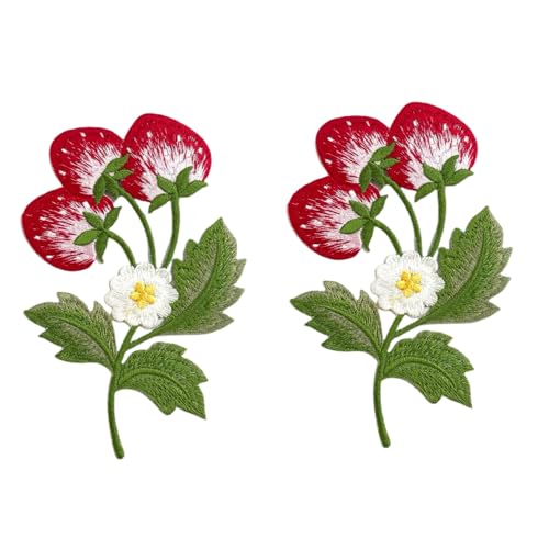 Iron on/Sew on Patches Strawberry Embroidered Patches for DIY Clothing Jackets Jeans Backpacks Hats Arts Craft Sew Making (Strawberry)