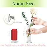 Zoom IMG-2 hewory 12 piccoli vasi cilindrici Zoom IMG-2 hewory 12 piccoli vasi cilindrici