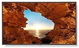 NEC Corp NEC V484 48inch Ultra High Definition Commercial-Grade Large Format Display black