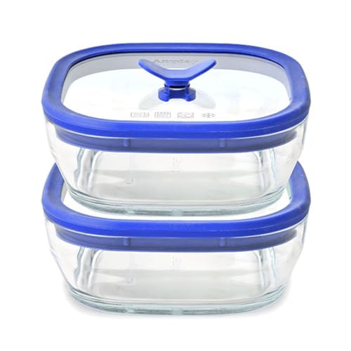 Anyday 2 Pack 2.5 Cup Microwavable Glass Lunch Containers (Blueberry)