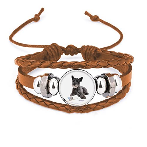 Bracelet en cuir pour photographie d'animaux de compagnie en finition premium