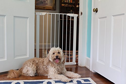 Cardinal Gates Extra Tall Auto-Lock Pressure Gate, White #TOP1