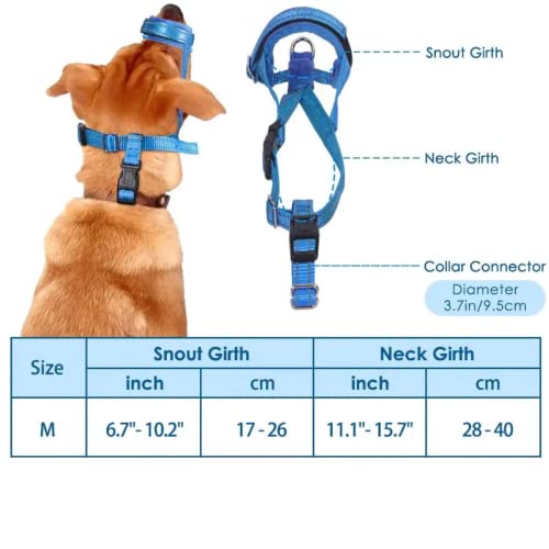 Reflective Adjustable Dog Head Collar & No Pull Leash, Gentle Padded Headcollar & Harness Halter For Training Medium Dogs, Bright Blue #TOP6