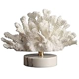 Diseño único, muy atractivo y único, elección perfecta como fiesta de inauguración, regalo de aniversario y regalo de cumpleaños. Hacen una decoración fantástica para bodas, fiestas temáticas en la playa, r y cualquier ocasión.