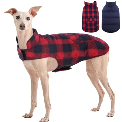 Kuoser Reversible Winter Coat, British Style Jacket for Small Medium Dogs - Warm, Windproof Puppy Cold Weather Vest, Red M M (Chest Girth: 17.3-20.9'') Red+Blue