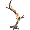 Top Collection Miniature Fairy Garden and Terrarium Garden Sprite Reading Book with Squirrel Statue