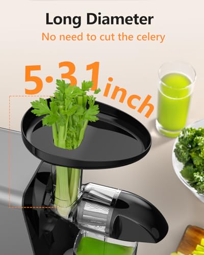 Image of 2026 LUFVEBUT Slow Cold Press Juicer with Reverse Function, Masticating Juicer Machines or Soft & Hard Vegetable Fruit High Juice Yield, Easy to Clean 250W High Power BPA-Free Dishwasher Safe