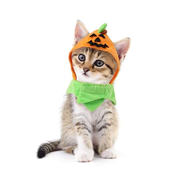 Idepet cat costumes, costumes for cats pumpkin hat cat halloween costumes adjustable hat for party decoration small pet cat cap