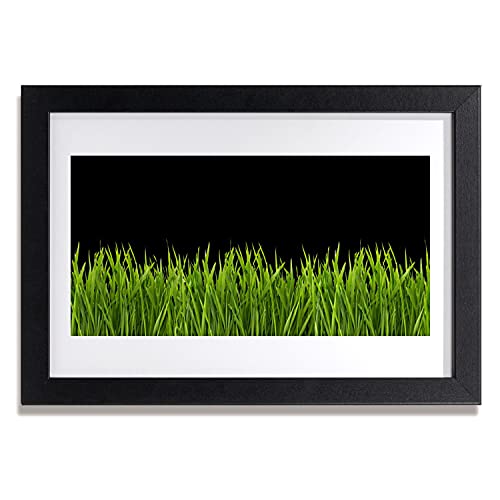Cadre murale salon chambre affiche encadrée 30x20 cm herbe verte anti-vide