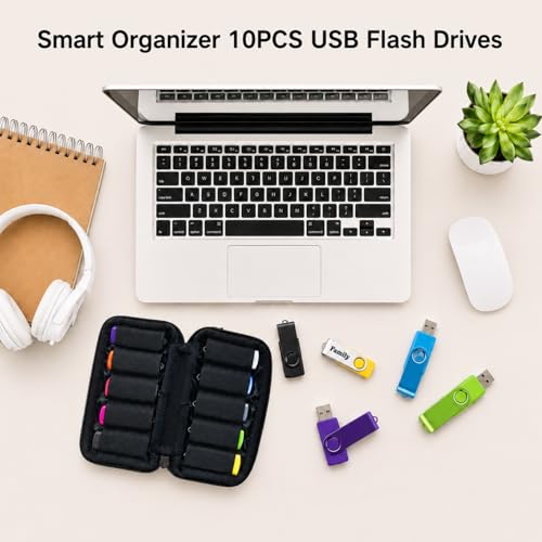 Image of Black Pen Drive Box, 10 Slots USB Flash Drive Organizer for Travel Business Commute Storage, Pen Drive Case for Tech Professionals and Students, Pendrive Pouch