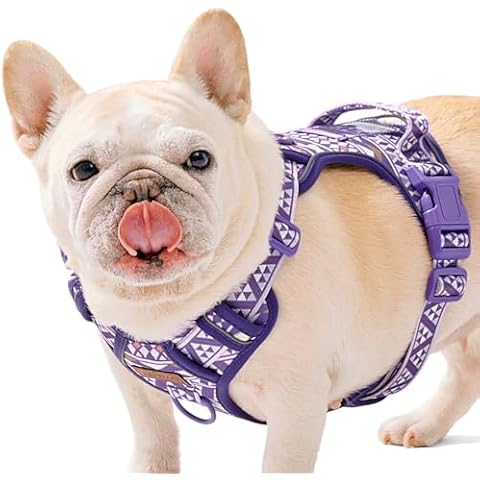 AUNZO Dog Vest Harness No Pull Easy Walker Pet Harness for Walking Training Hiking for M Sized Dogs with 2 Leash Clips 3 Buckles ID Card Reflective Strip Soft Padded Handle, Tribal, French Bulldog Cover