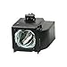 Samsung HL-S4676S TV Assembly Cage with Projector bulb