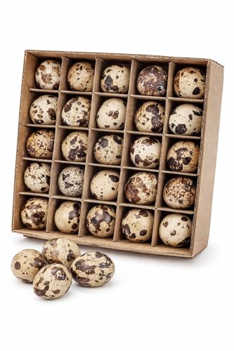 RiloStore 60 Stück Wachteleier ausgeblasen Deko echte Eier Wachteln Ostereier Deko ausgepustete Wachtelei Ostern Landhaus Naturdeko natürliche Deko Osterschmuck Basteln