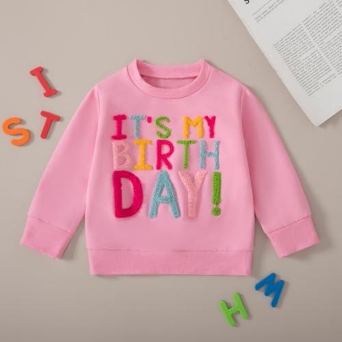 Toddler Baby Fall Outfit Birthday Girl Crewneck Sweatshirt Tops Little Princess Birthday Shirt Kids Spring Clothes2