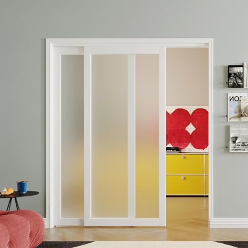 SOLRIG Sliding Closet Door, 48''(Double 25") x 80", 1-Lite Frosted Glass Sliding Door with Hardware Track Kit & Floor Guide, Finished Doors 2 Panels, MDF, White