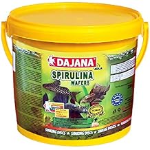 Dajana Spirulina Wafers Dip Bal klar   in Bitkisel Yem 5000 Ml 2200 Gr