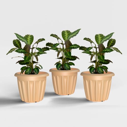 Image of YUCCABE ITALIA SHERA Floot Plastic Flower Pot Round Planter Suitable for Indoor Outdoor Kitchen Garden (Beige, 12 INCH - 3 Pcs)