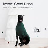 IECOii Hundepullover, Rollkragenpullover für Hunde, Weihnachten, warmer Pullover für kleine mittelgroße Hunde und Katzen, Sweatshirts für Hunde, Herbst und Winter für Chihuahua, Französische Bulldogge