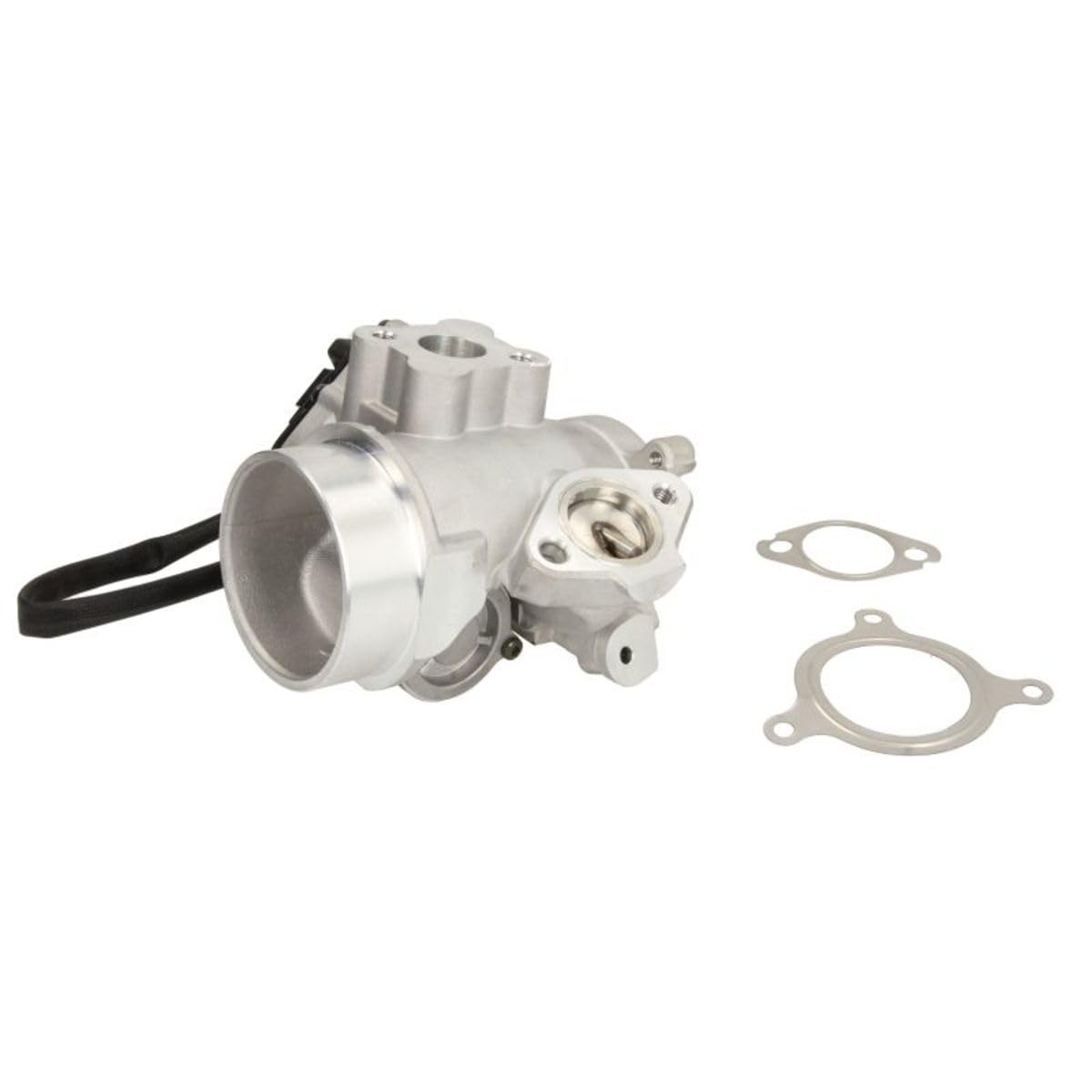 Delphi Technologies EG10495-​12B1 Vanne EGR