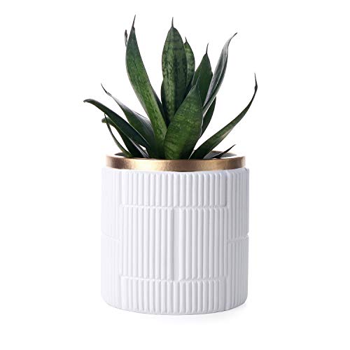 Greenaholics Planter Pots- 4.6 inch Cement Planters, Flower Plant Container, for Snake Herbs Orchid Plant, Medium Indoor Outdoor Plant, Vintage Style, Unglazed Bonsai, with Drainage Hole, White