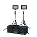 Ikan iLED312-v2-2PT-KIT with 2 X iLED312-v2 flood bicolor lights