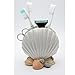 Toothbrush Holder Shell Pen Holder Polyresin Artware Cosmetic Brush Holder for Home Decor-White (Shells)