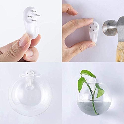 Ivolador Wall Hanging Propagation Glass Plant Terrarium Container Perfect For Propagating Hydroponic Plants Home Office Garden Decor Wedding (Global2) #TOP1