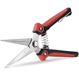 WYF Pruning Scissors, Professional Garden Shears – Straight Stainless Steel Blades – Sharp Gardening Hand Pruner for Garden Harvesting Fruits, Vegetables, Trimming Flowers and Plants, 8.1IN(Red)