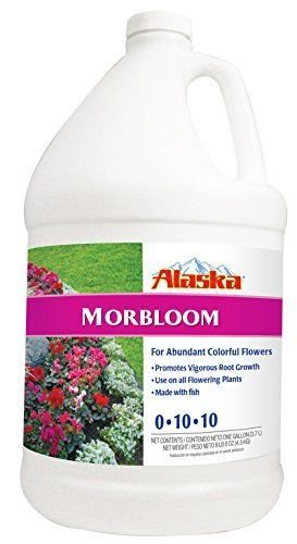 Alaska Morbloom Concentrate 0-10-10 Fertilizer, 1 Gallon .*Sell#(hopeshop2014,ket21152151738114