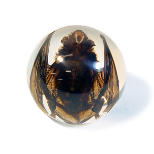 REALBUG Bat Globe